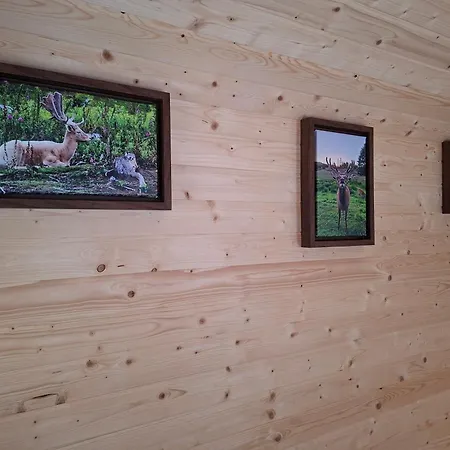 Vakantiehuis Wildblick *