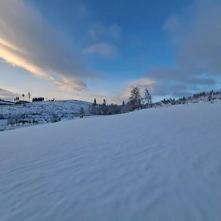 Wildblick Bad Berleburg