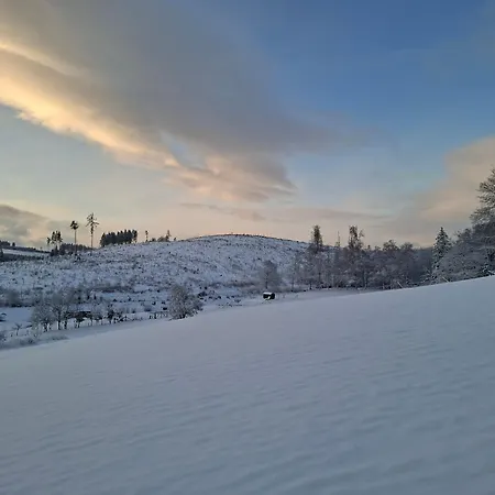 Vakantiehuis Wildblick