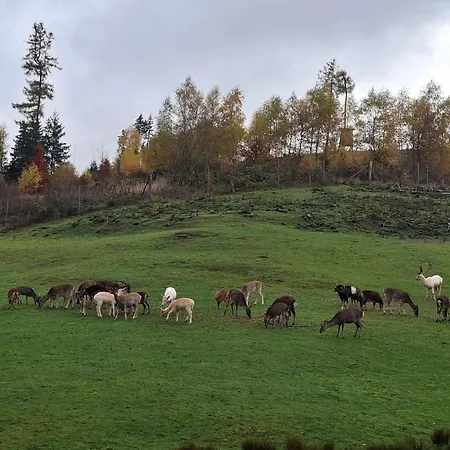 Vakantiehuis Wildblick *