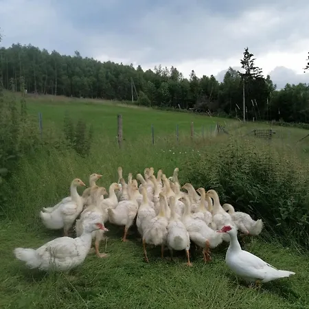 Wildblick Nyaraló