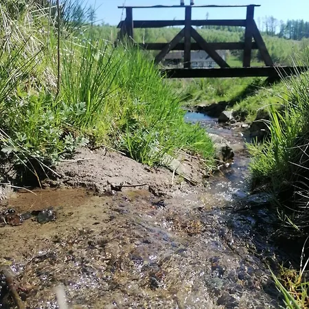 Nyaraló Wildblick *