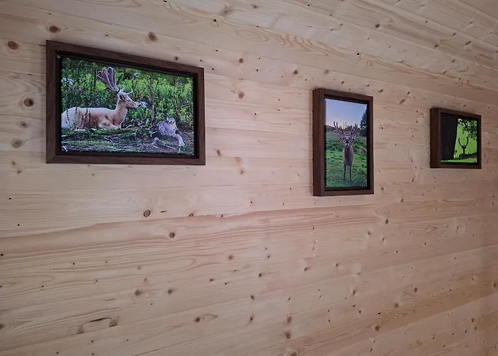 Vakantiehuis Wildblick *