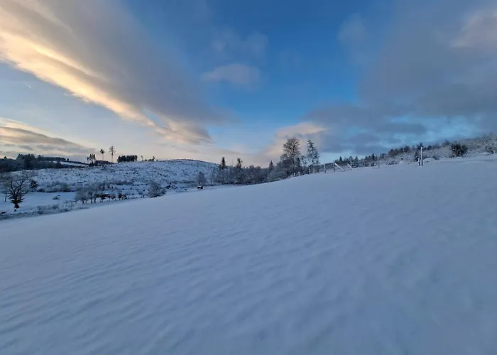 Wildblick Bad Berleburg