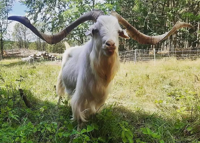 Wildblick Vakantiehuis Bad Berleburg