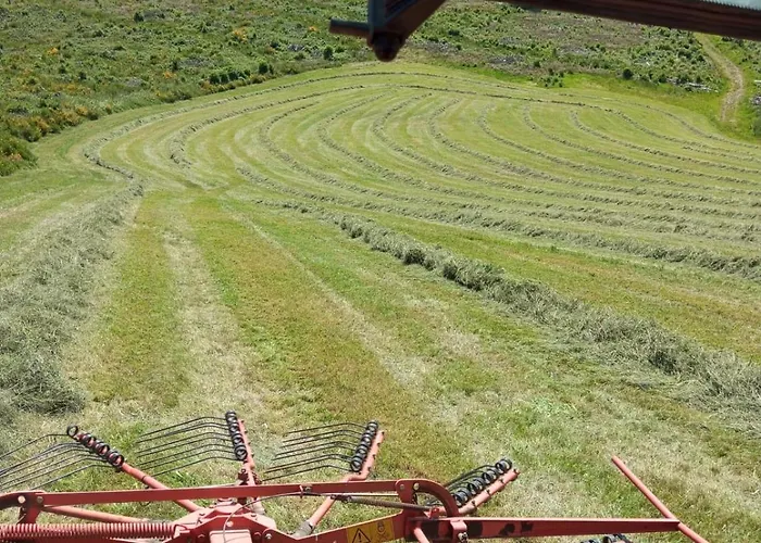 Vakantiehuis Wildblick *