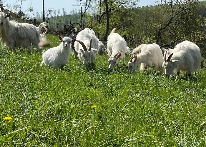 Wildblick Vakantiehuis *