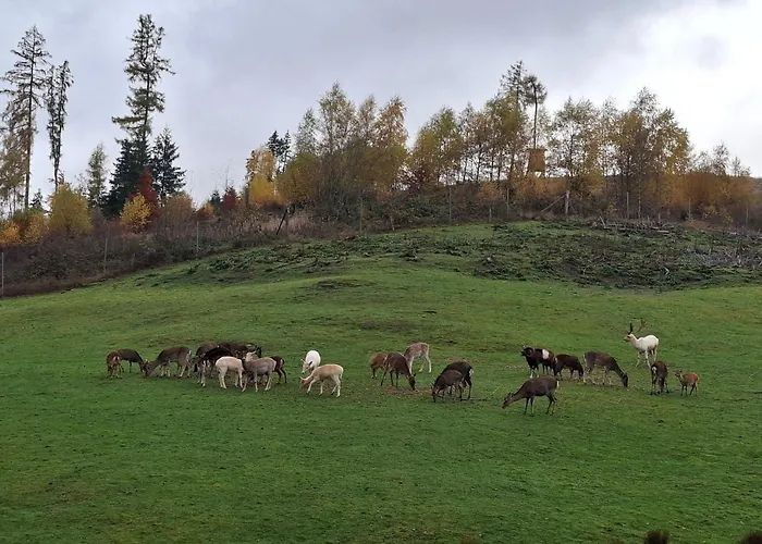 Vakantiehuis Wildblick *