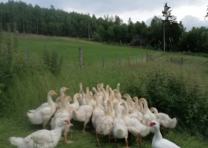 Wildblick Vakantiehuis