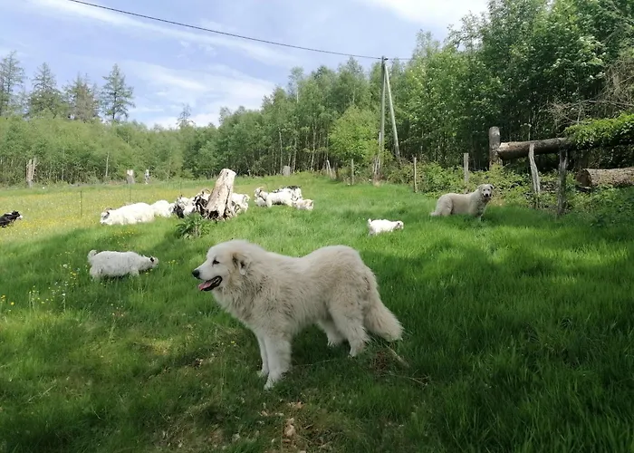 Wildblick * Bad Berleburg