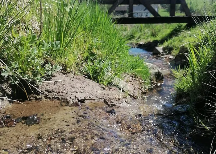 Vakantiehuis Wildblick *